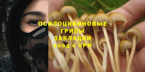 молекула духа Алексин