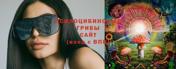 молекула духа Алексин