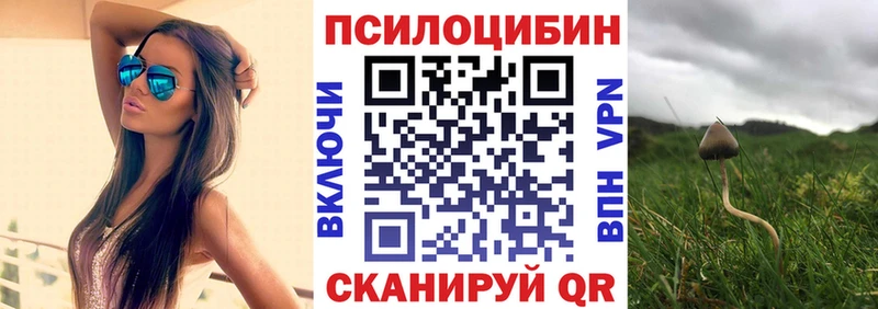 Галлюциногенные грибы Magic Shrooms  дарк нет формула  Богородск 