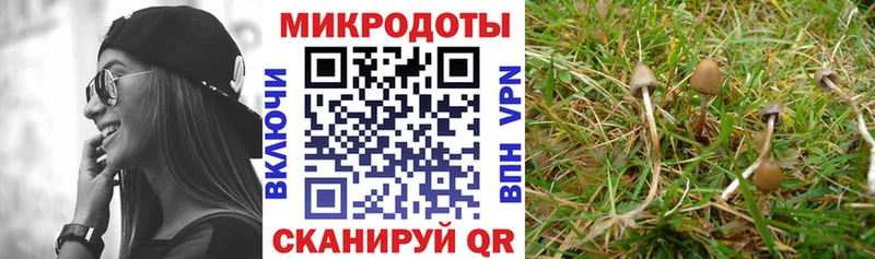 Галлюциногенные грибы мицелий Богородск